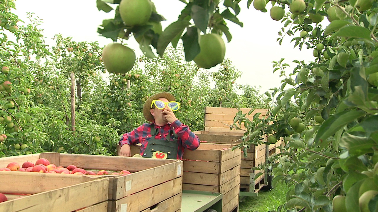 Standbild aus einem Motivationsvideo für die REWE