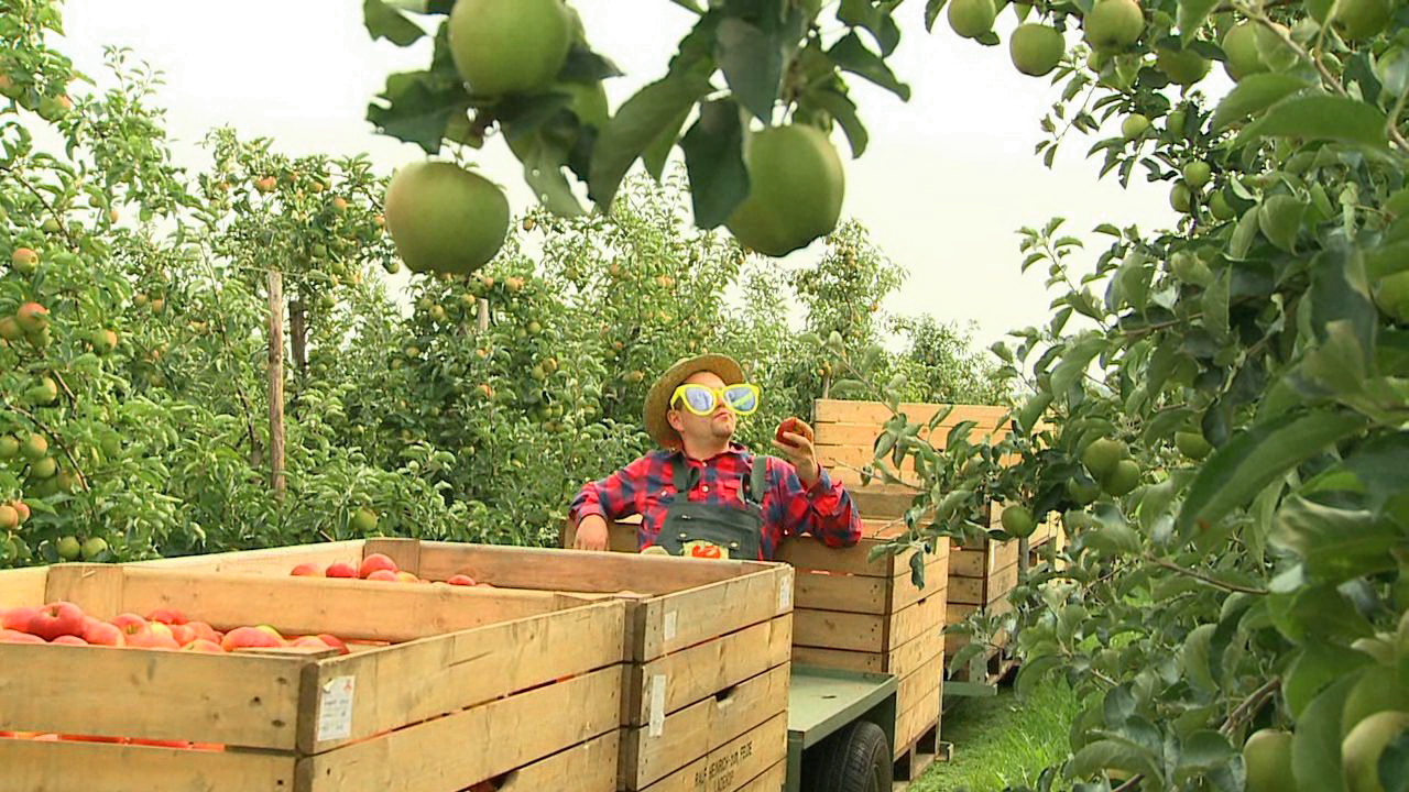 Apfel08.jpg